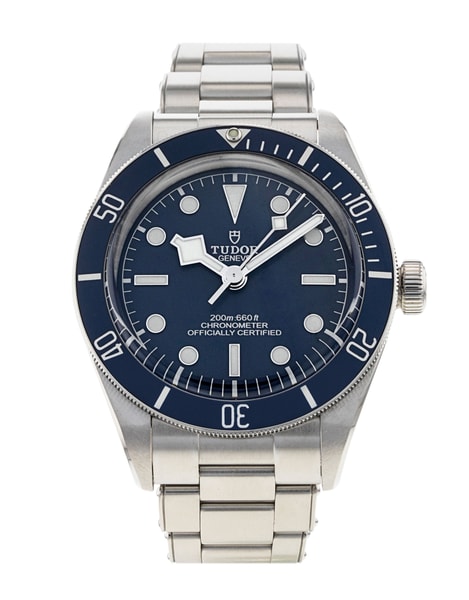 Tudor Black Bay 58 M79030B-0001